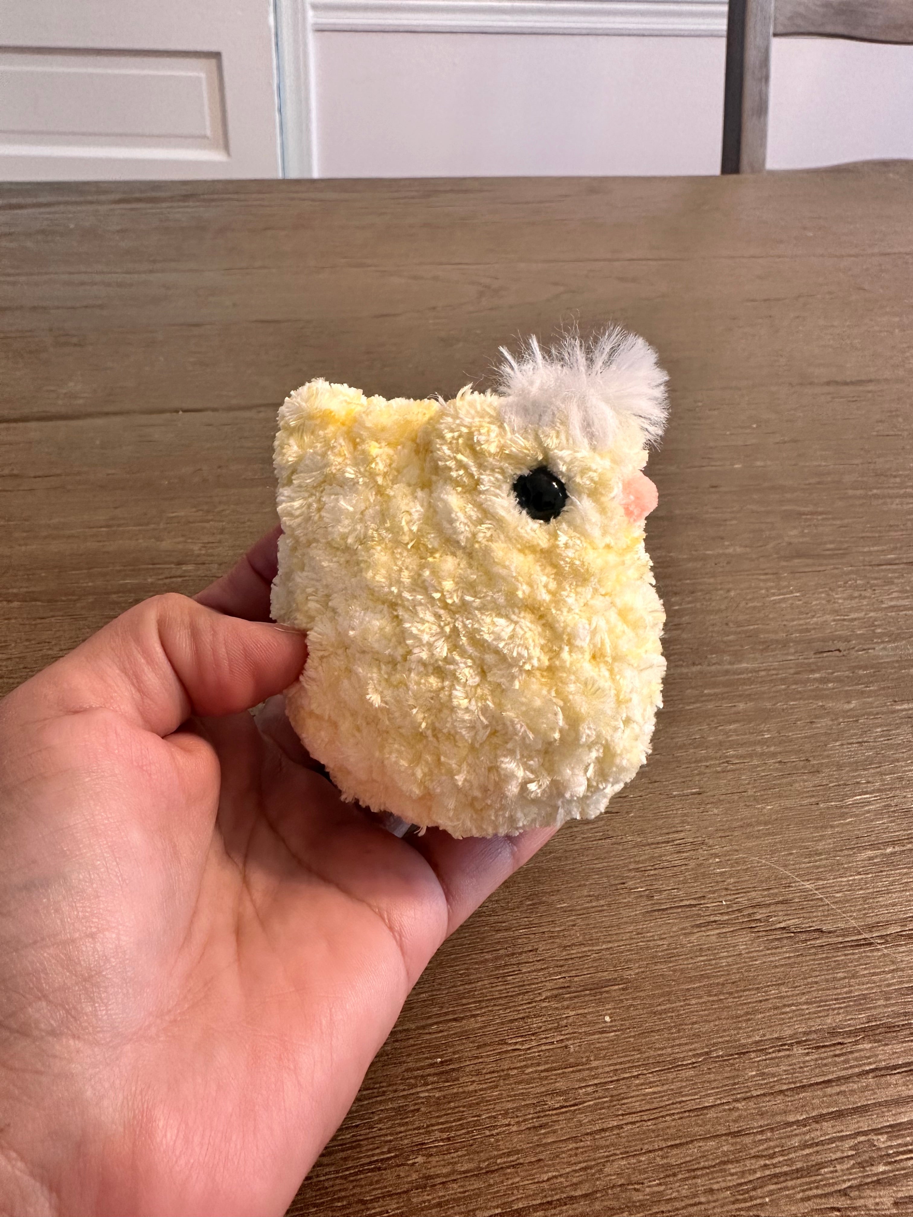 Chick in an Egg